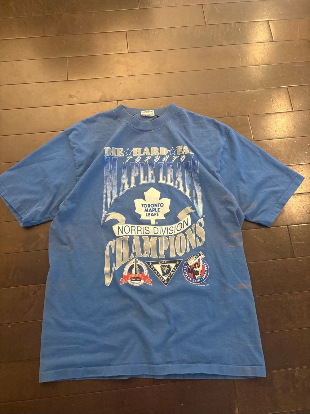 Toronto Maple Leafs Blue Norris Division Champions Tee